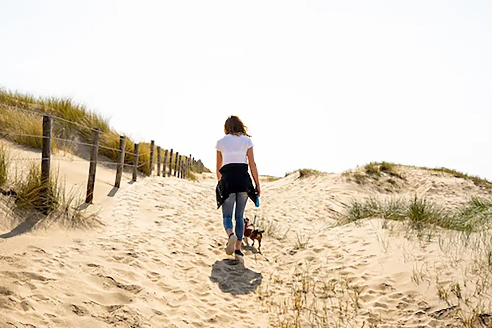 Urlaub mit Hund - die beliebtesten Reiseländer der Deutschen