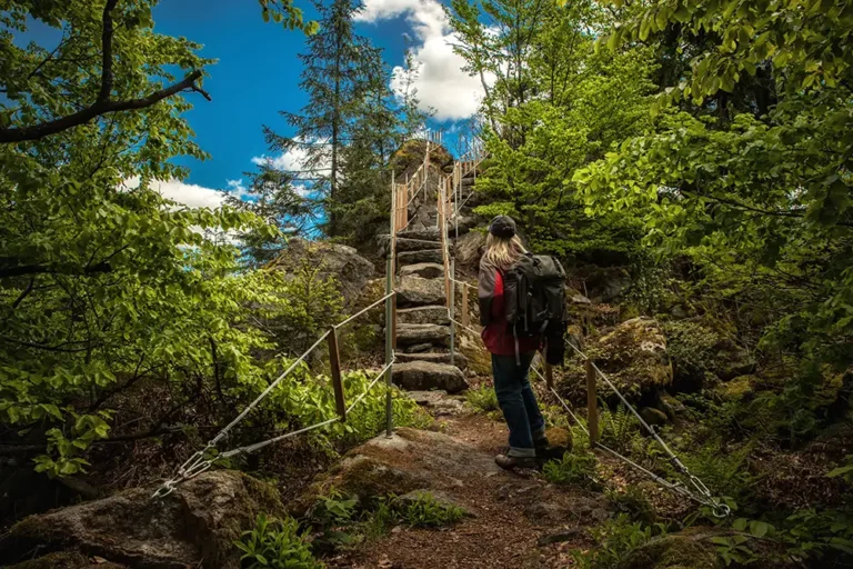 Goldsteig - Der Weg für Natur- und Geschichtenliebhaber