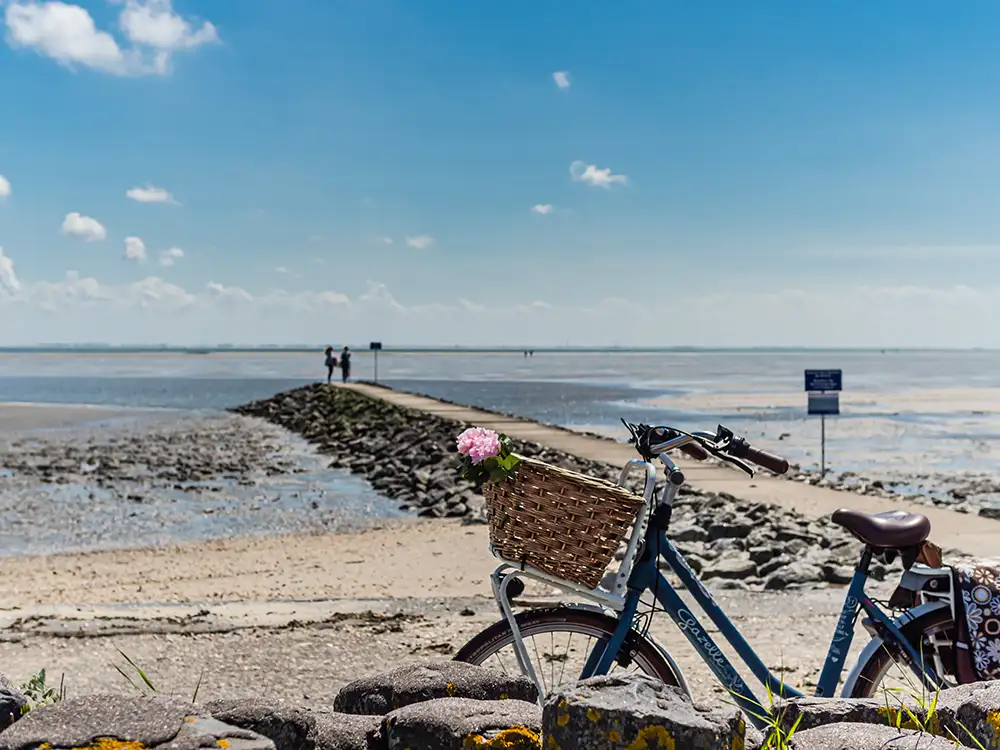 Radfahren im Herbst an der Küste